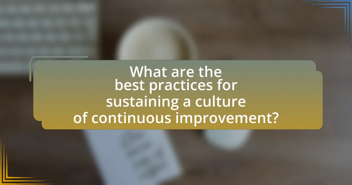 What are the best practices for sustaining a culture of continuous improvement?